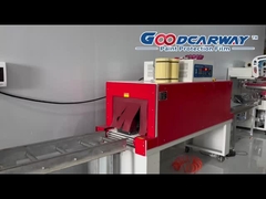 বসপিপিএফ প্লাস্টিকের সিল