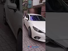 ২০২৫-১১-১০_৬